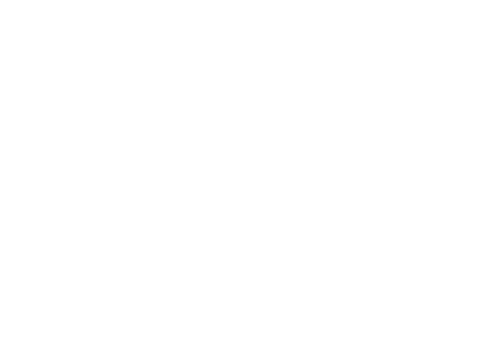 Gebrüder Weiss