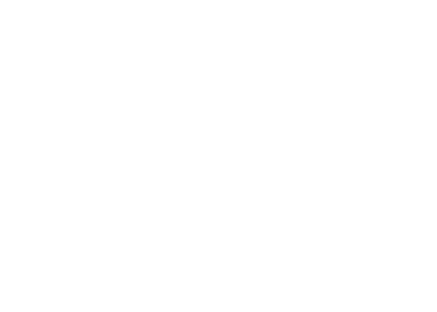 System Industrie Elektronik