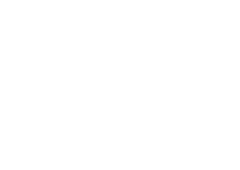 Wisto, Wirtschaftsstandort Vorarlberg